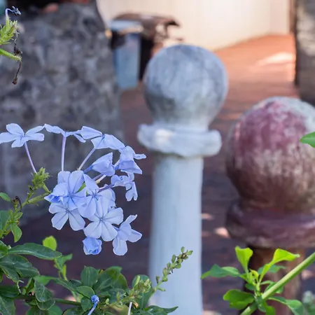 Casale Orgogliosa Vendégház San Vito Chietino
