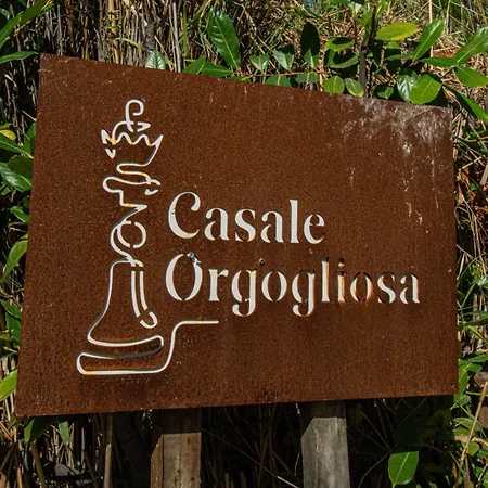 Casale Orgogliosa 招待所 3*