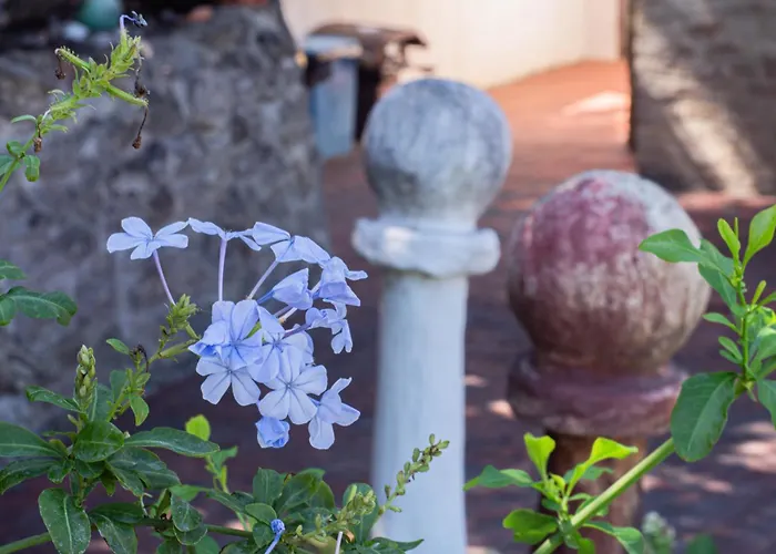 Casale Orgogliosa Gasthuis San Vito Chietino