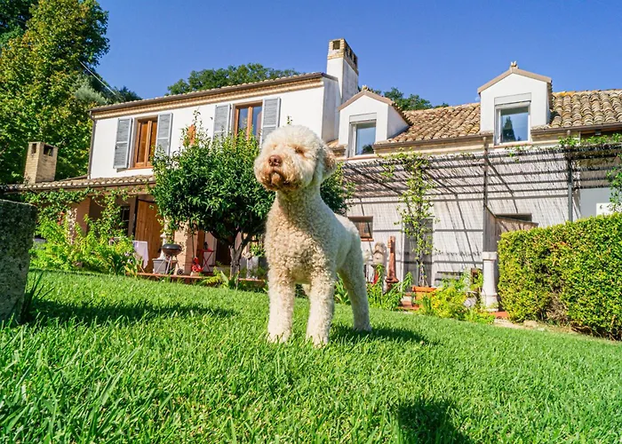 Casale Orgogliosa Affittacamere 3*