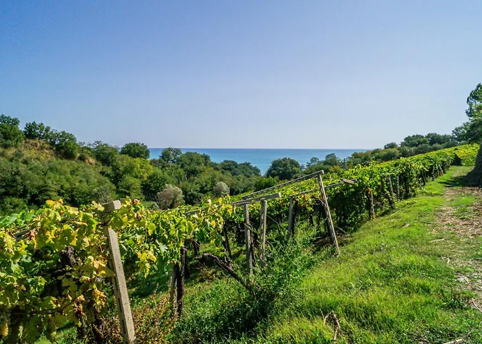 Casale Orgogliosa Affittacamere San Vito Chietino